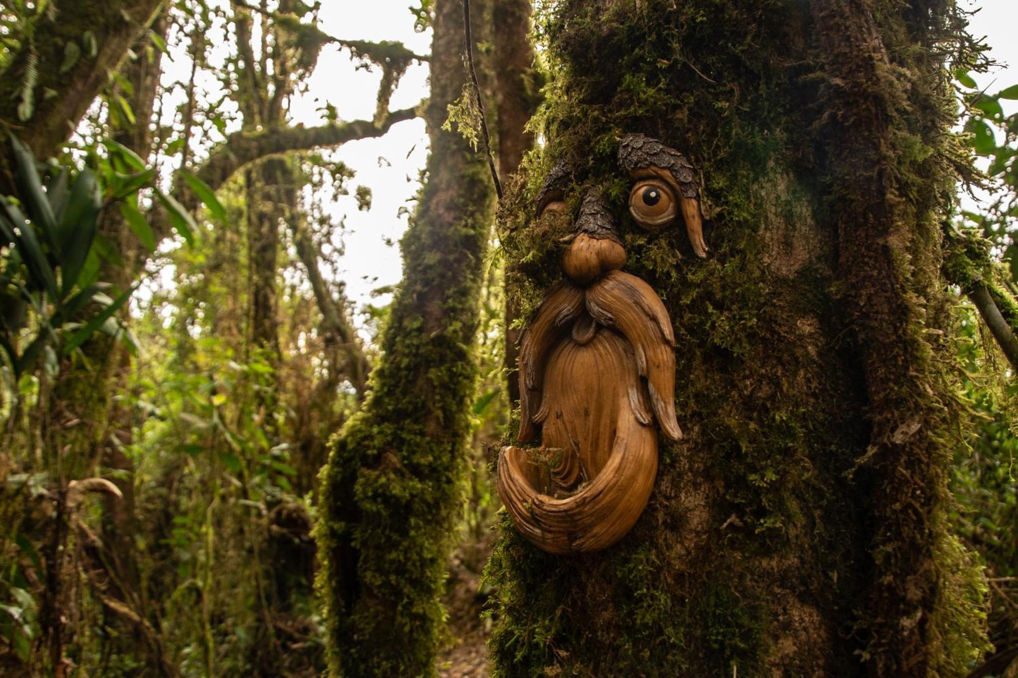 Vila Owl'S Watch At Rio Blanco Manizales Exteriér fotografie